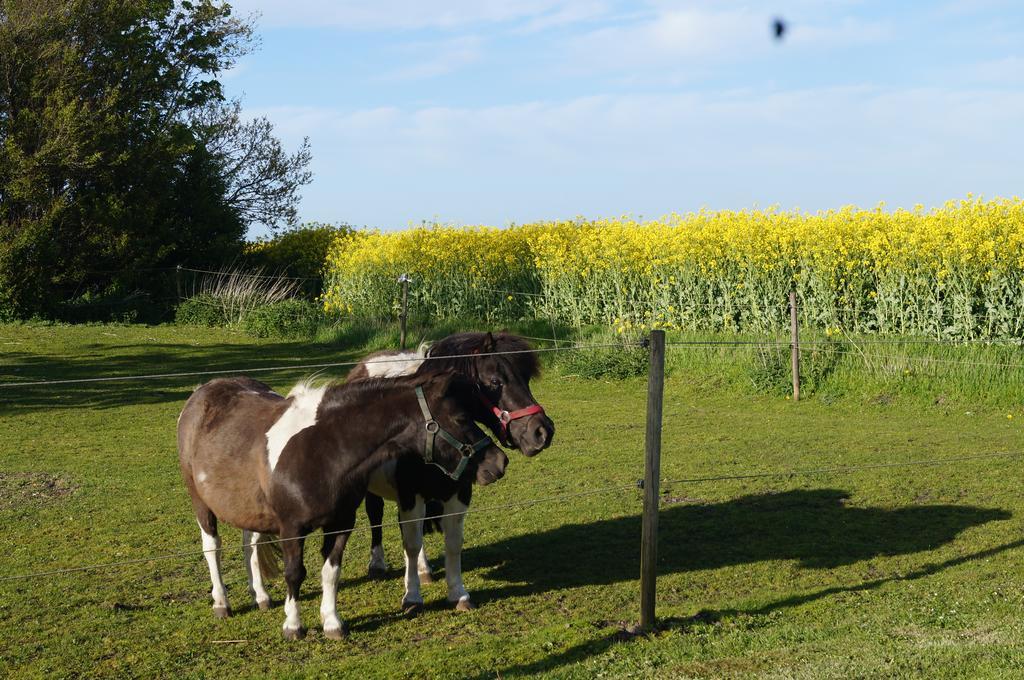 Lokken Farm Holiday Zimmer foto