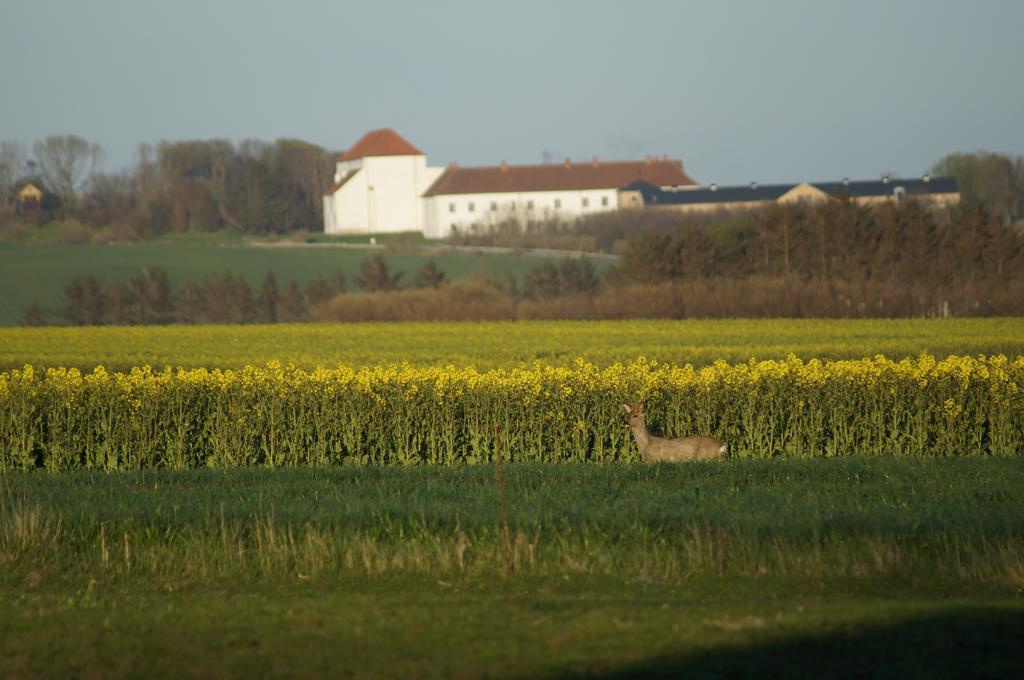 Lokken Farm Holiday Zimmer foto